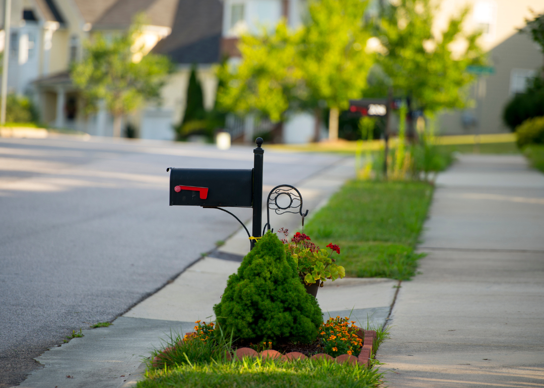 A black mailbox in a flower bed on a residential street.