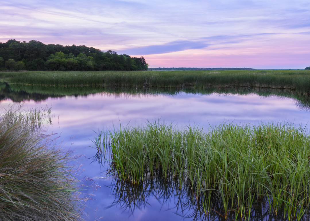 A purple and pink sunset over marshland. 