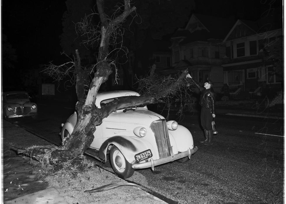 A person examines a car with a tree crashed upon it.