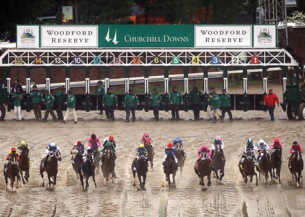 Head on shot of horses breaking from the gate 