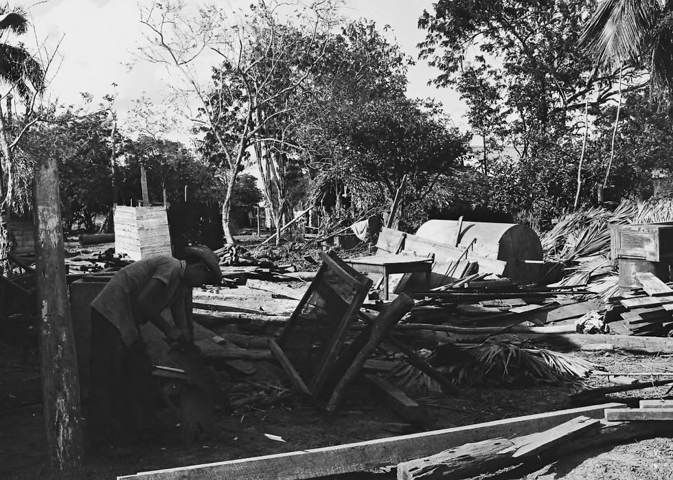 A man sorts through wreckage near a wooded area.