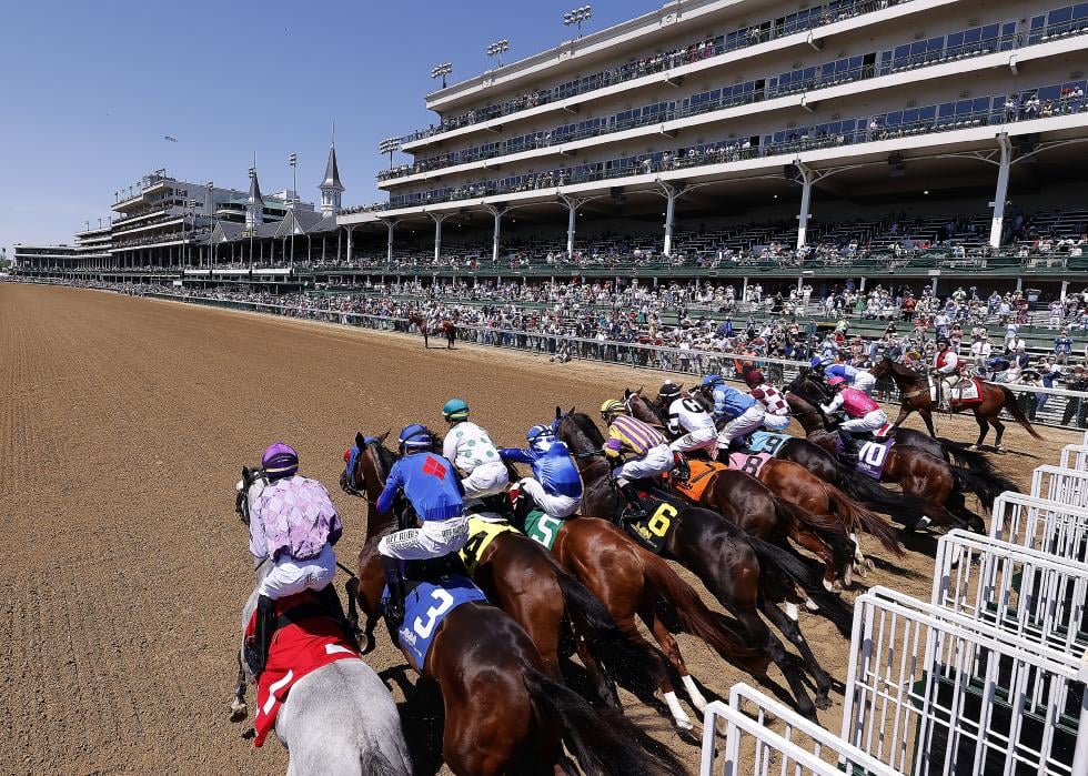 Horses break from the gate at the start of a race