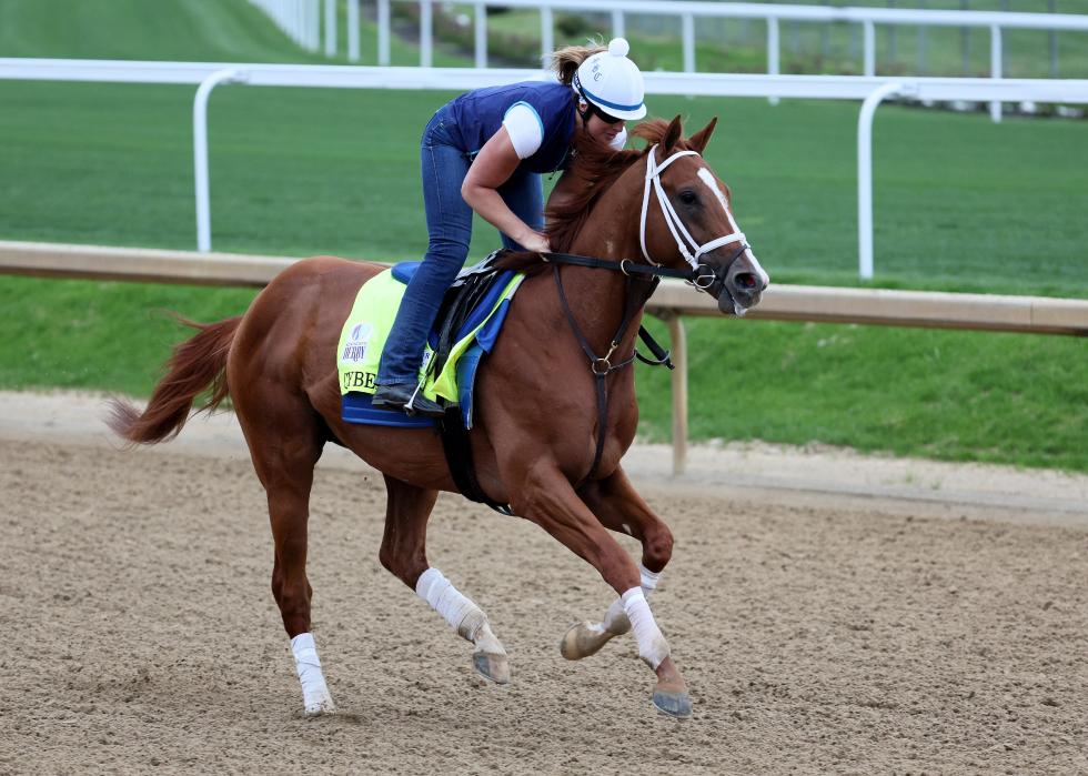 Cyberknife runs on the track during morning training