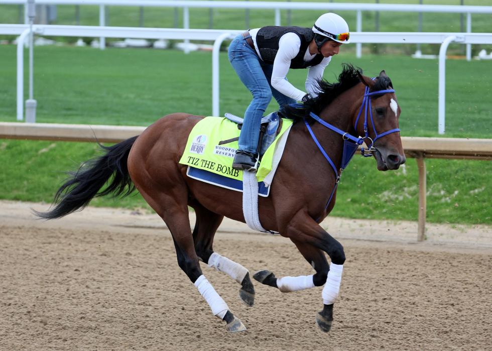 Tiz the Bomb runs on the track during morning training