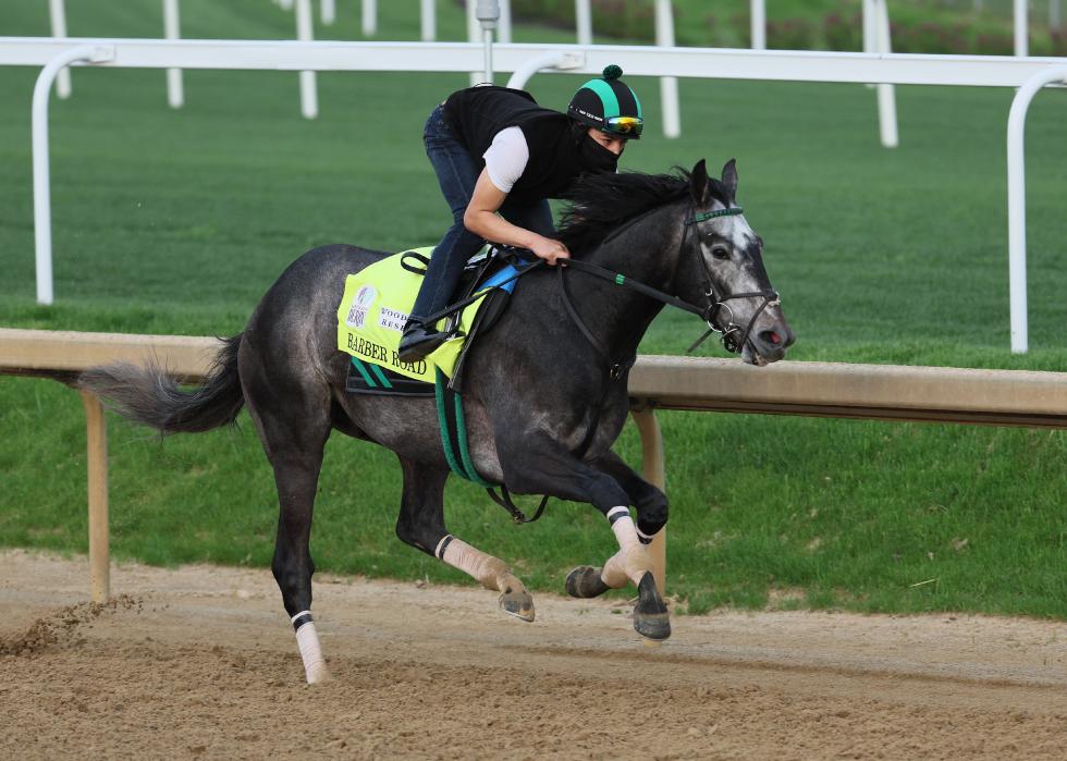Barber Road during morning training for the Kentucky Derby