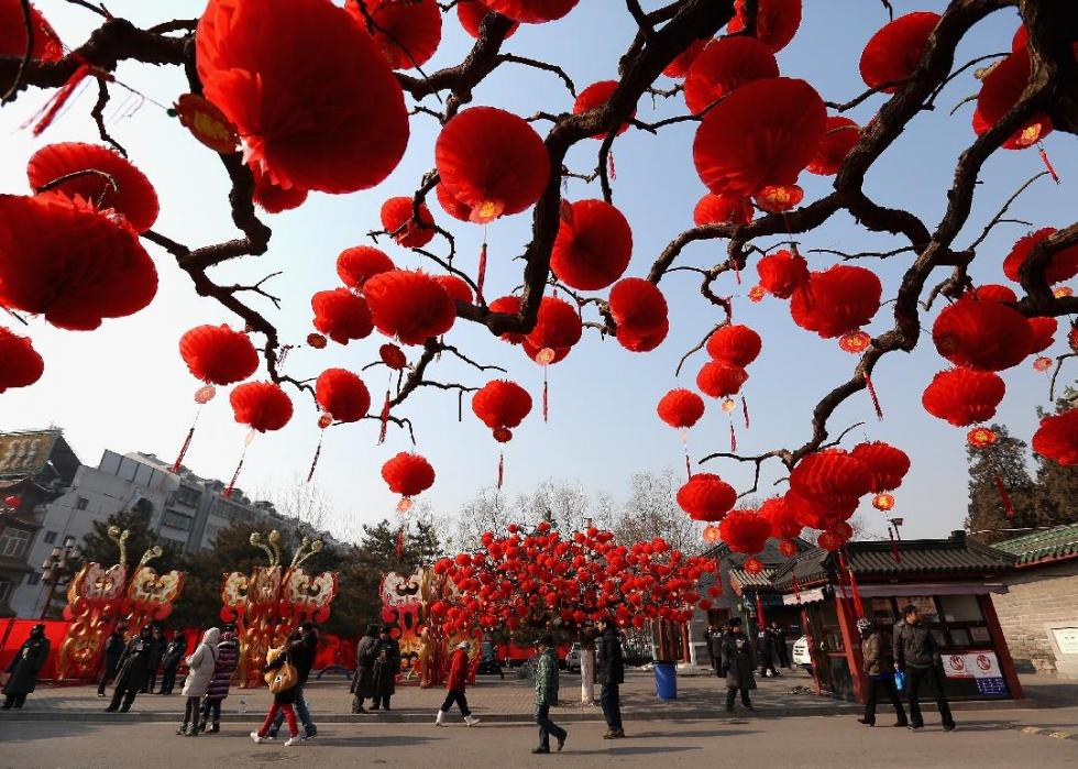 Red lanterns hang from a tree with people in the background.
