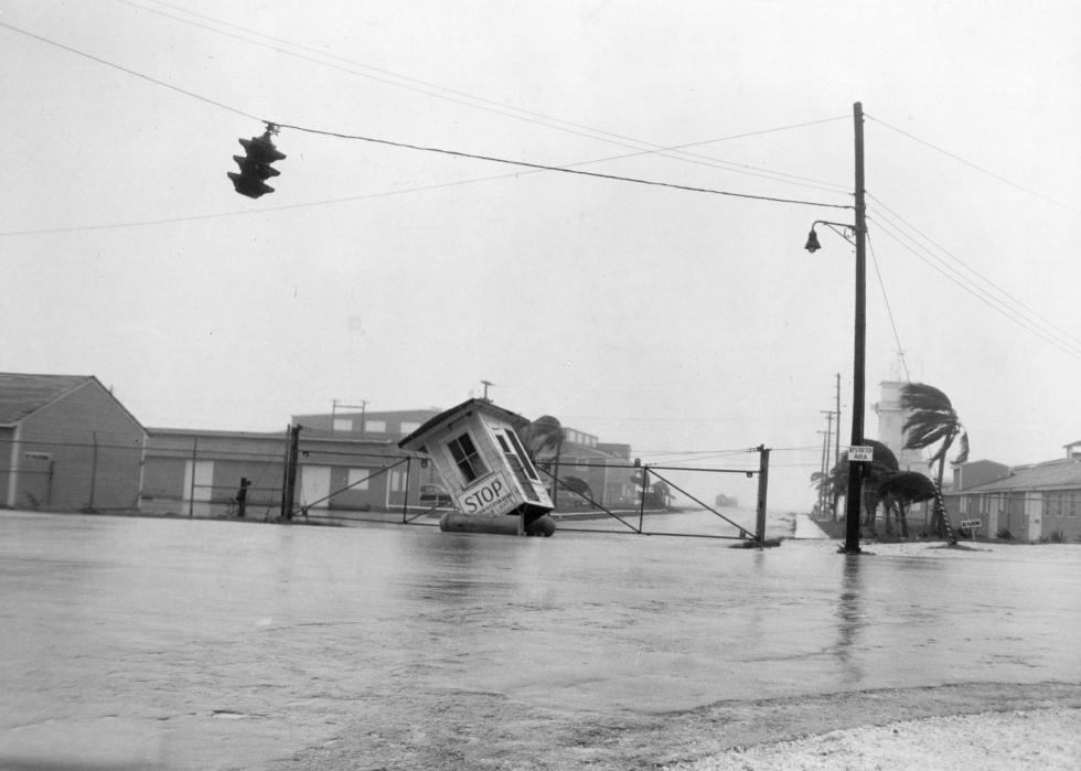 Flood waters surround a residential street near an intersection with a palm tree and a traffic light blowing in the wind.