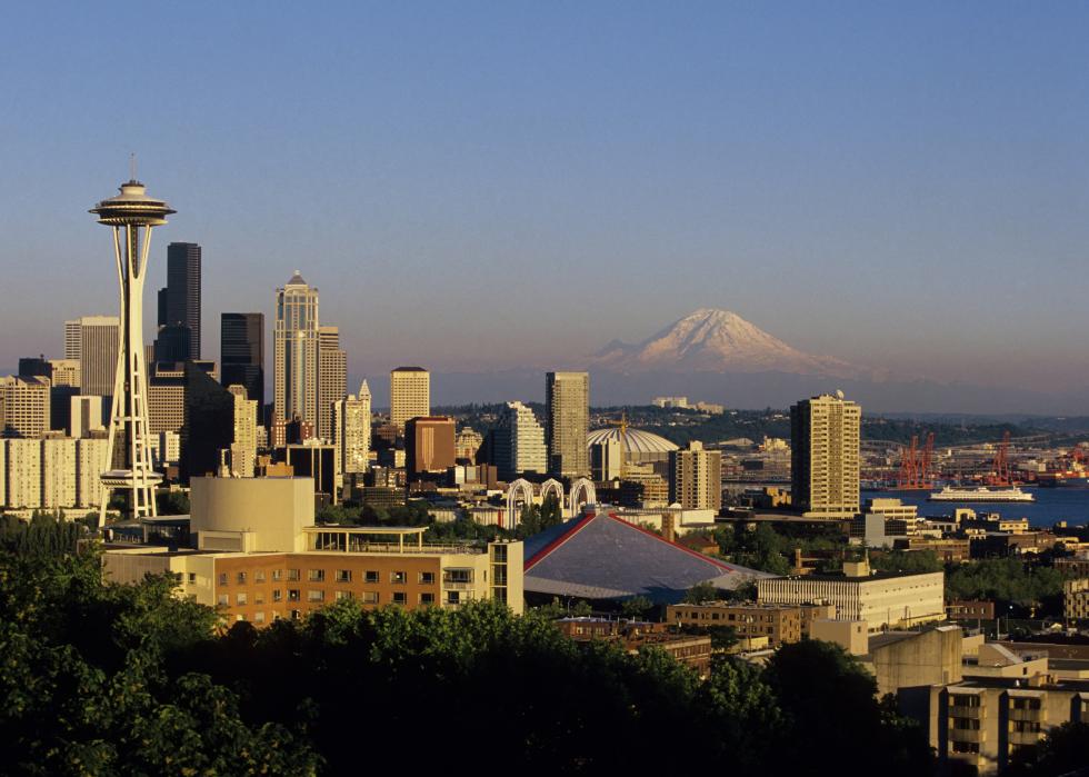 Seattle Skyline with Mt. Rainier in background.