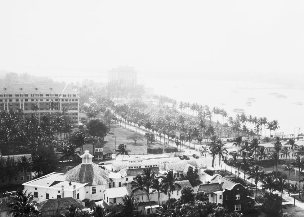 A high-angle view of a foggy palm tree-lined street near the ocean.