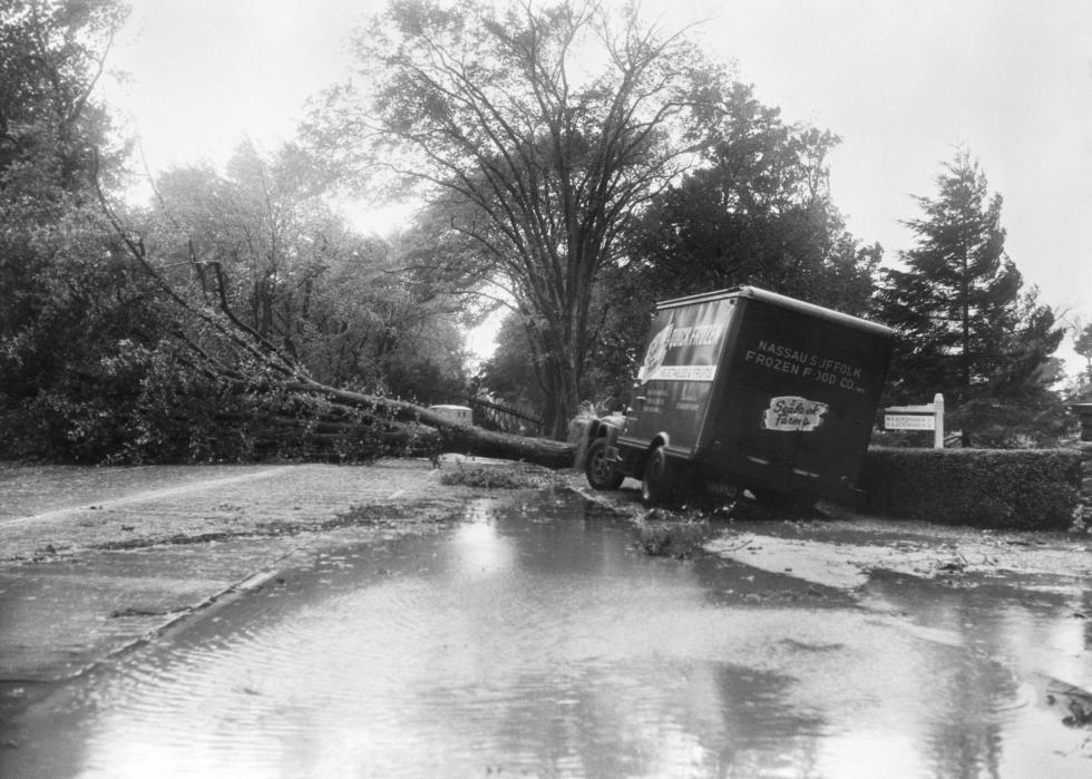 A truck carrying frozen food stuck in mud and blocked by a fallen tree in a flooded road near a wooded area.