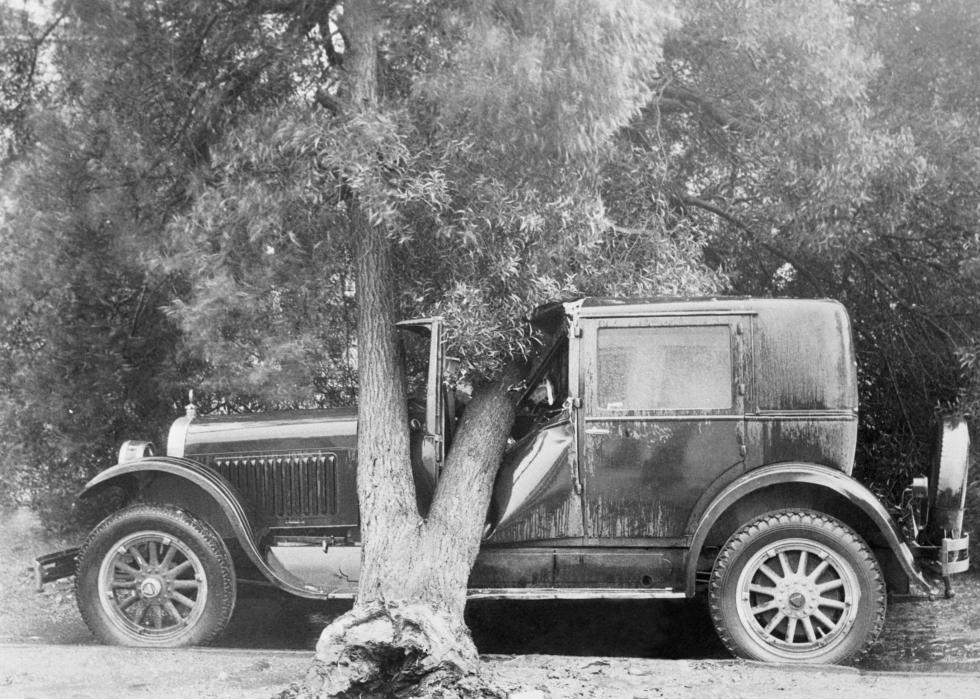 An uprooted tree laying atop a vehicle.