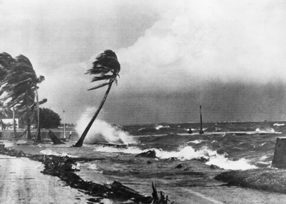 Storm waves crashing against a beach and a few palm trees blowing in the wind.