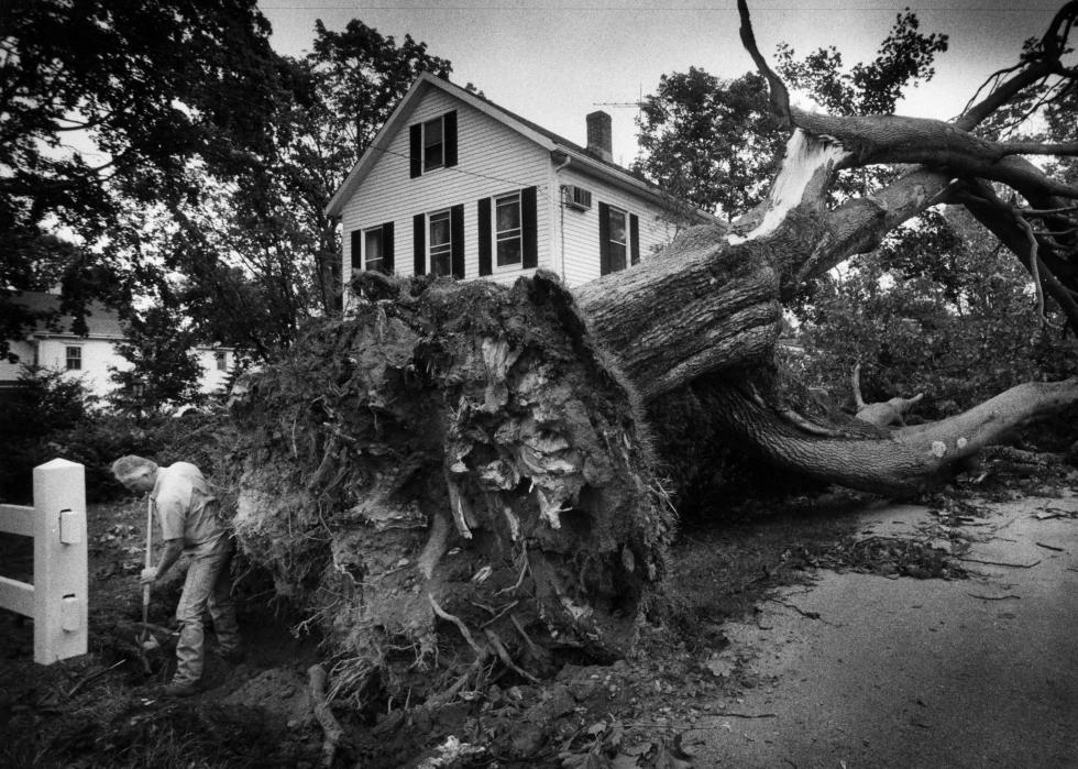 A man uses a shovel in front of a massive uprooted tree in front of a suburban home.