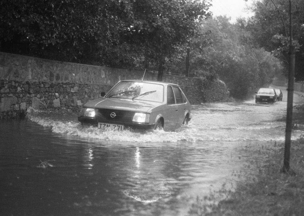 Three cars drive through a flooded street lined with trees.