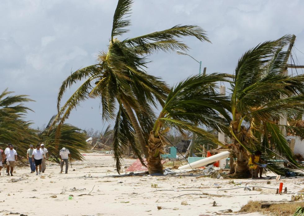 A group of people walk along a beach covered in debris with large palm trees slanted.