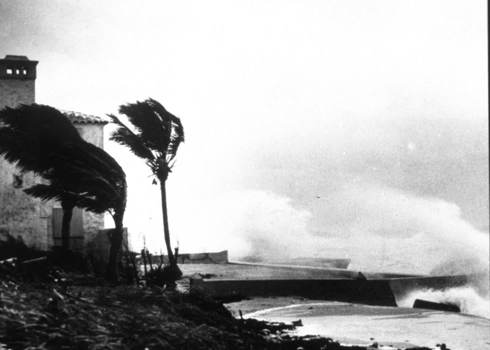 Massive waves crash against the shore with a large building partially in sight, and palm trees blowing in the wind.