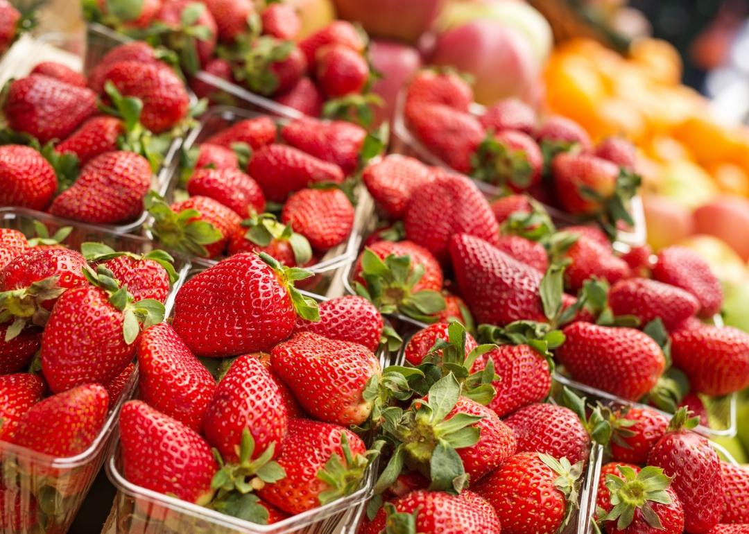 Strawberries arranged in pint baskets ready for sale.