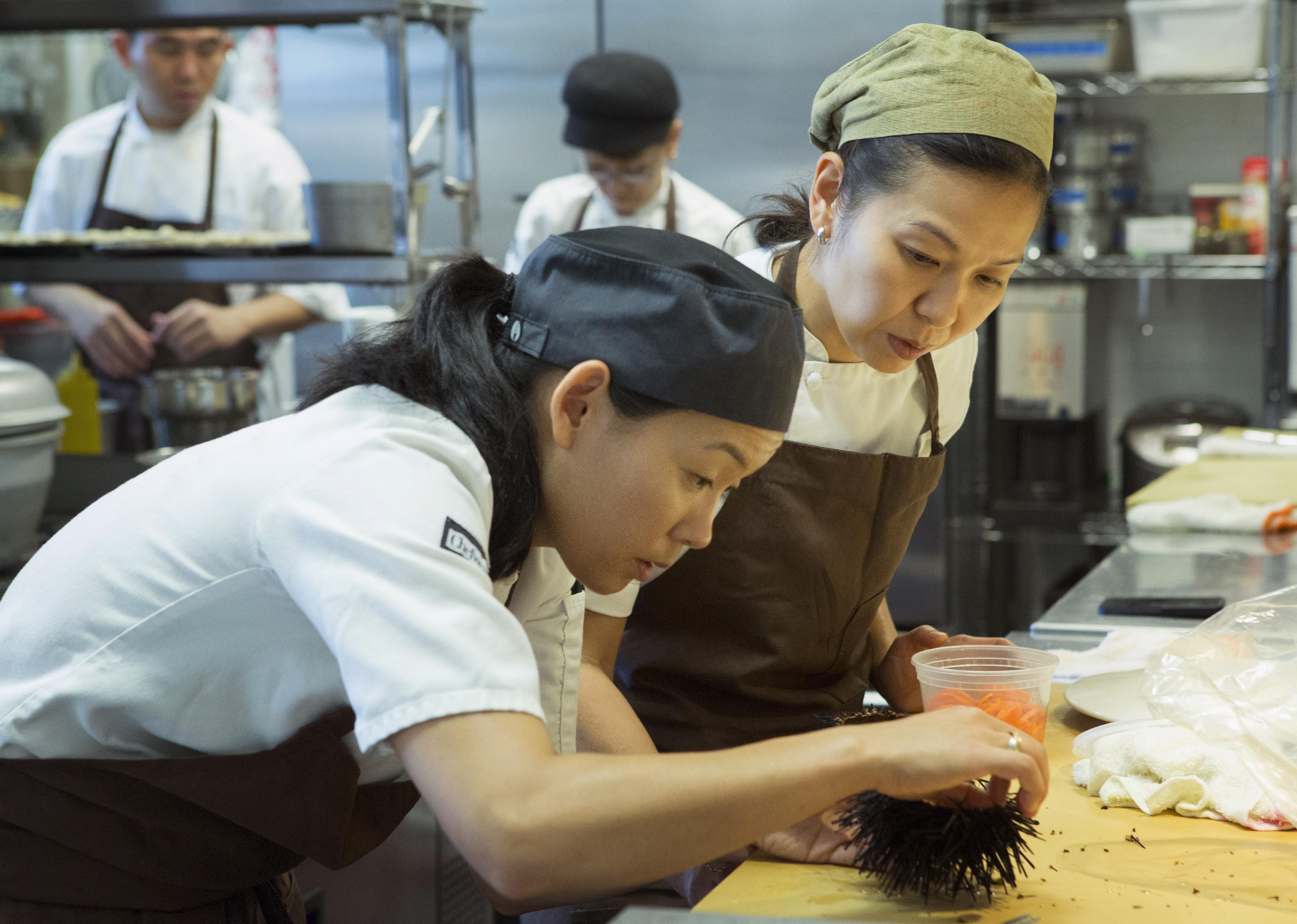 Two female chefs working with sea urchin in a kitchen.