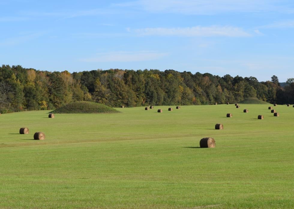 Most Rural Counties in Mississippi Stacker