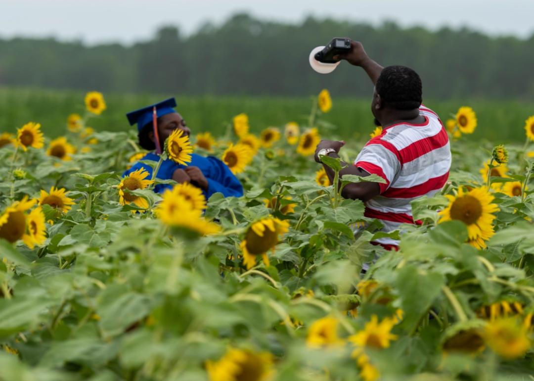 A photographer shines a light on a graduate in a cap and gown in a field of sunflowers.
