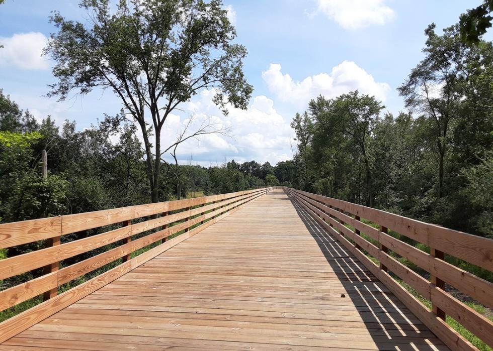 A long wooden boardwalk lined with trees.