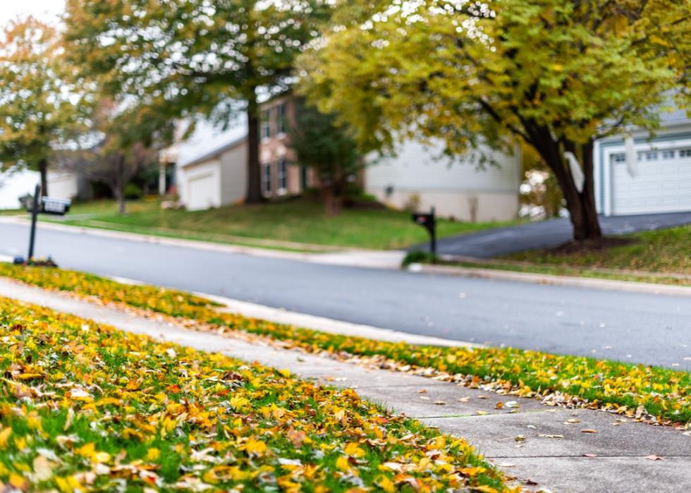 Autumn leaves cover the street of a suburban neighborhood.