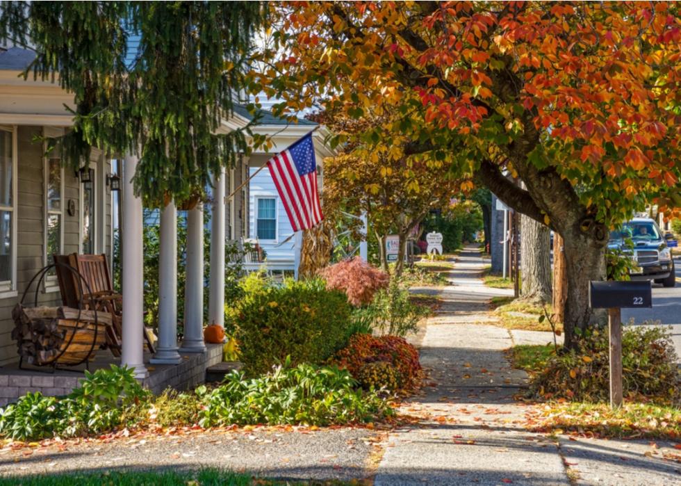 Leaf-covered sidewalk in the suburbs.