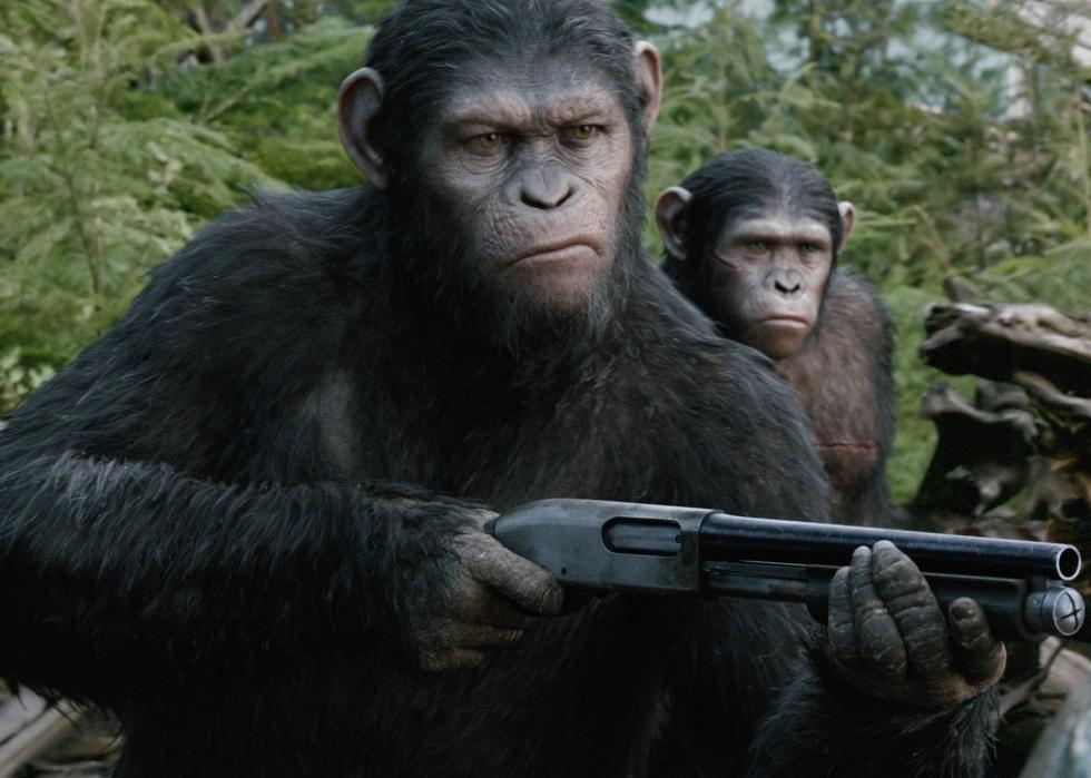 Apes holding guns.