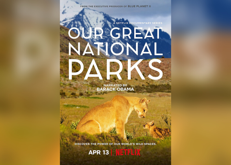 The cover for the series showing a lion and her cub with mountains in the background.