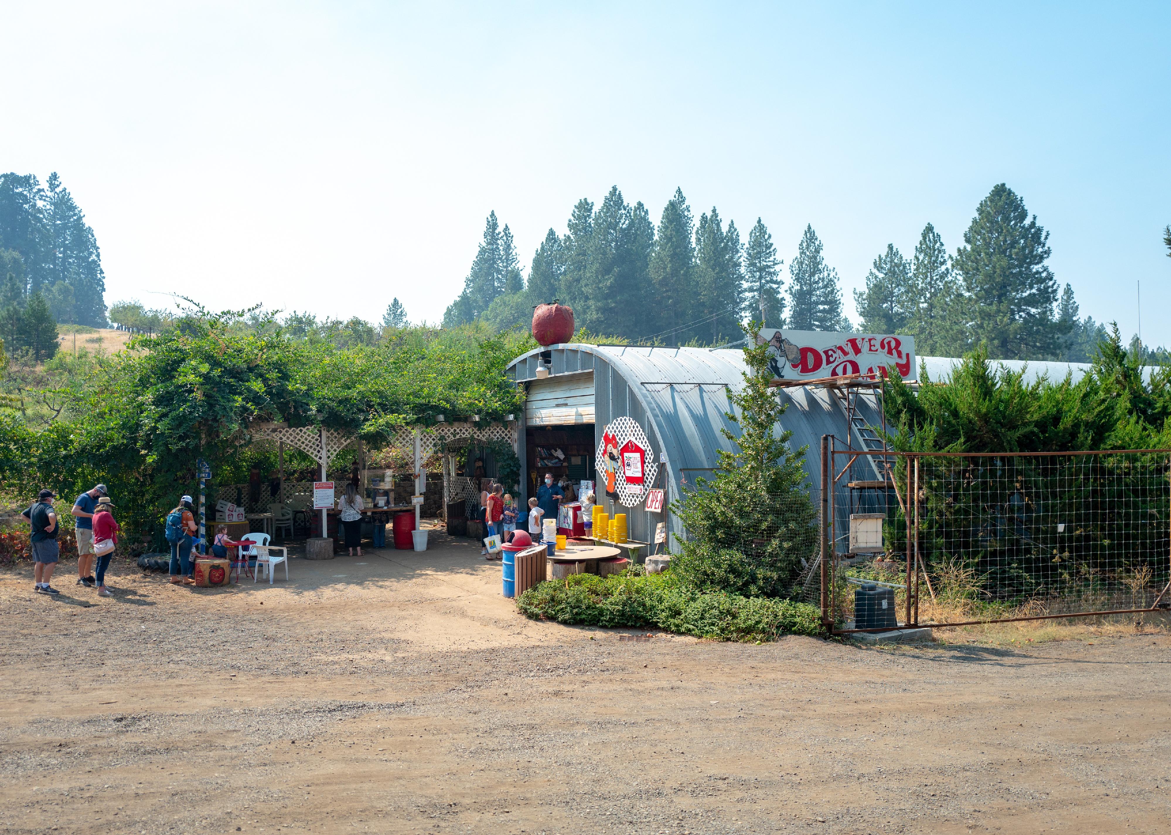 An apple orchard farm store in a metal building with people lined up outside.