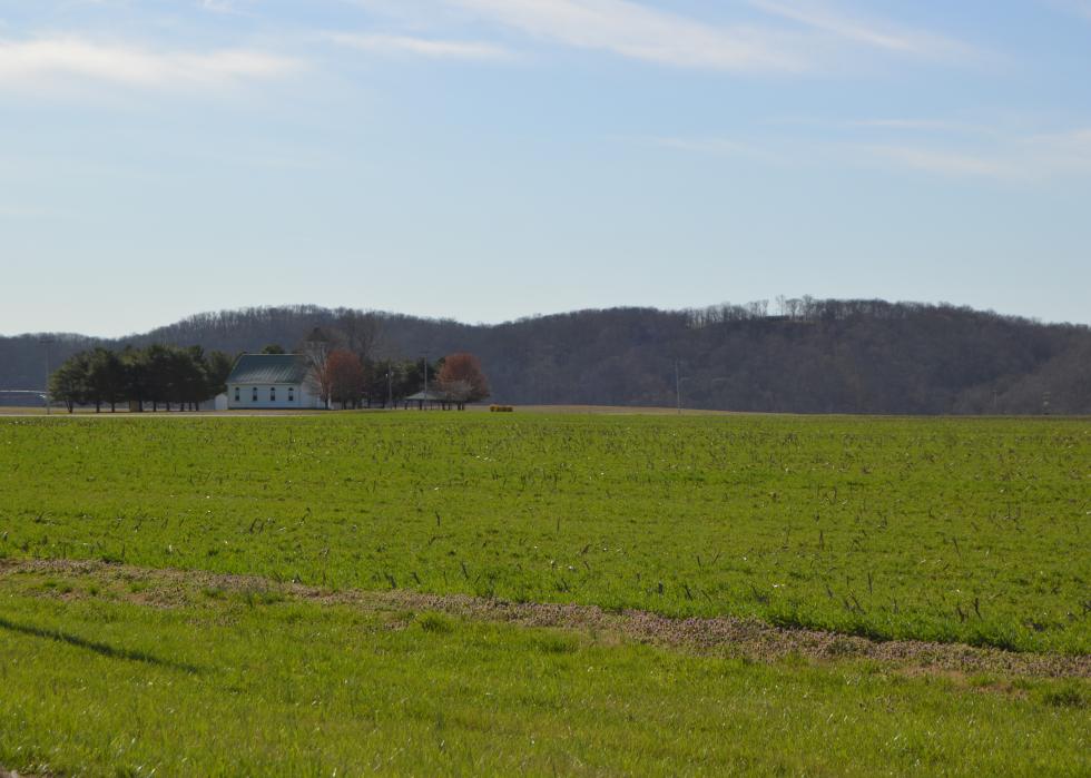 Most Rural Counties in Kentucky Stacker