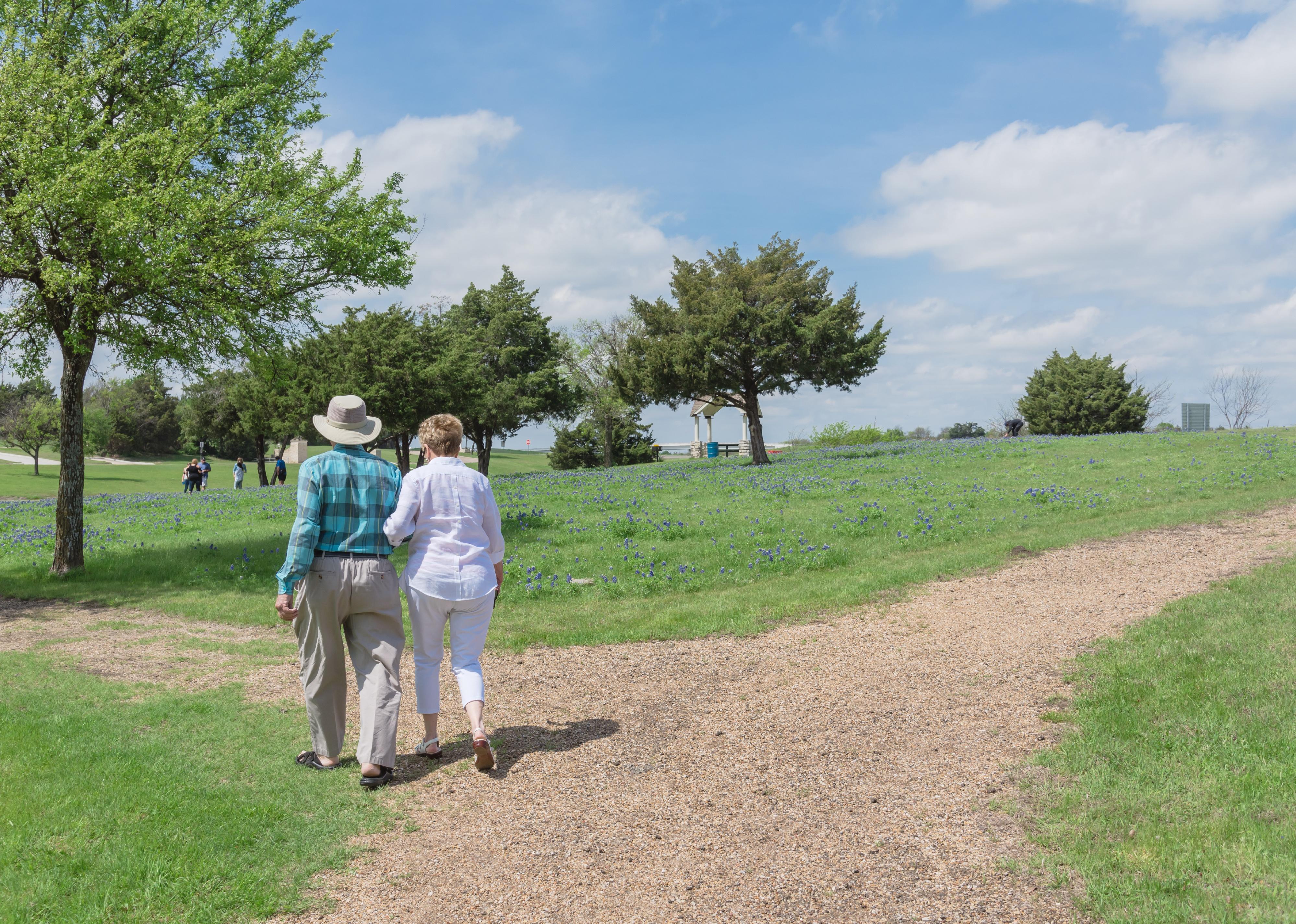 Rear view of senior couple walking on trail arm in arm.