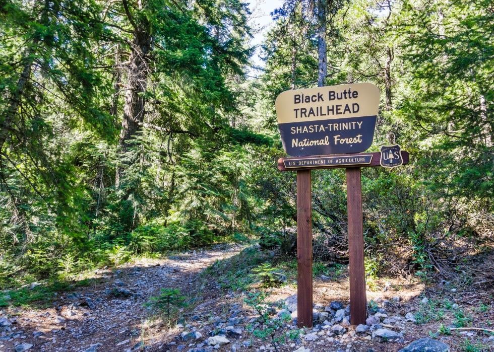 "Black Butte" trail head in Shasta-Trinity National Forest.