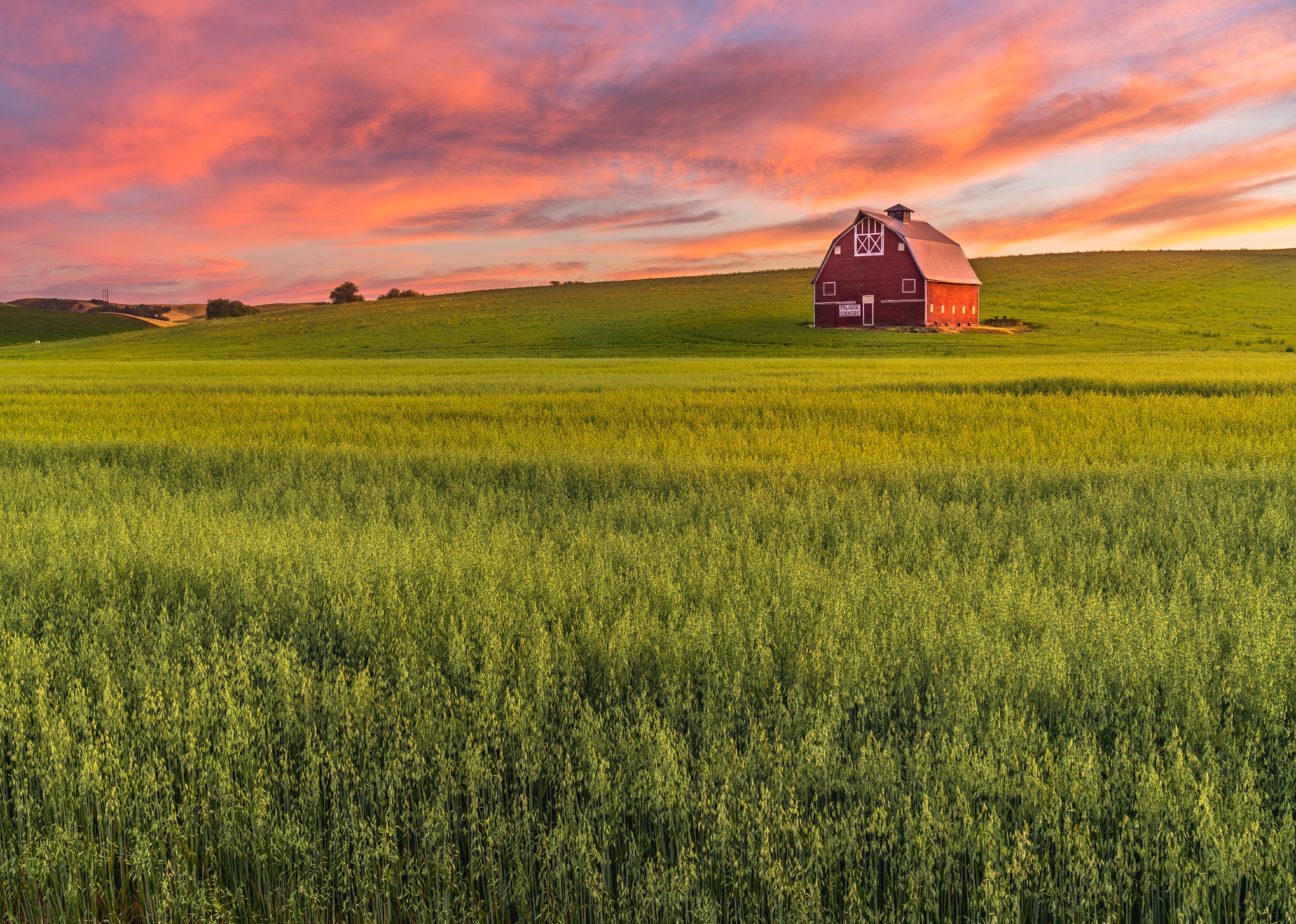 Red barn in a field at sunset.