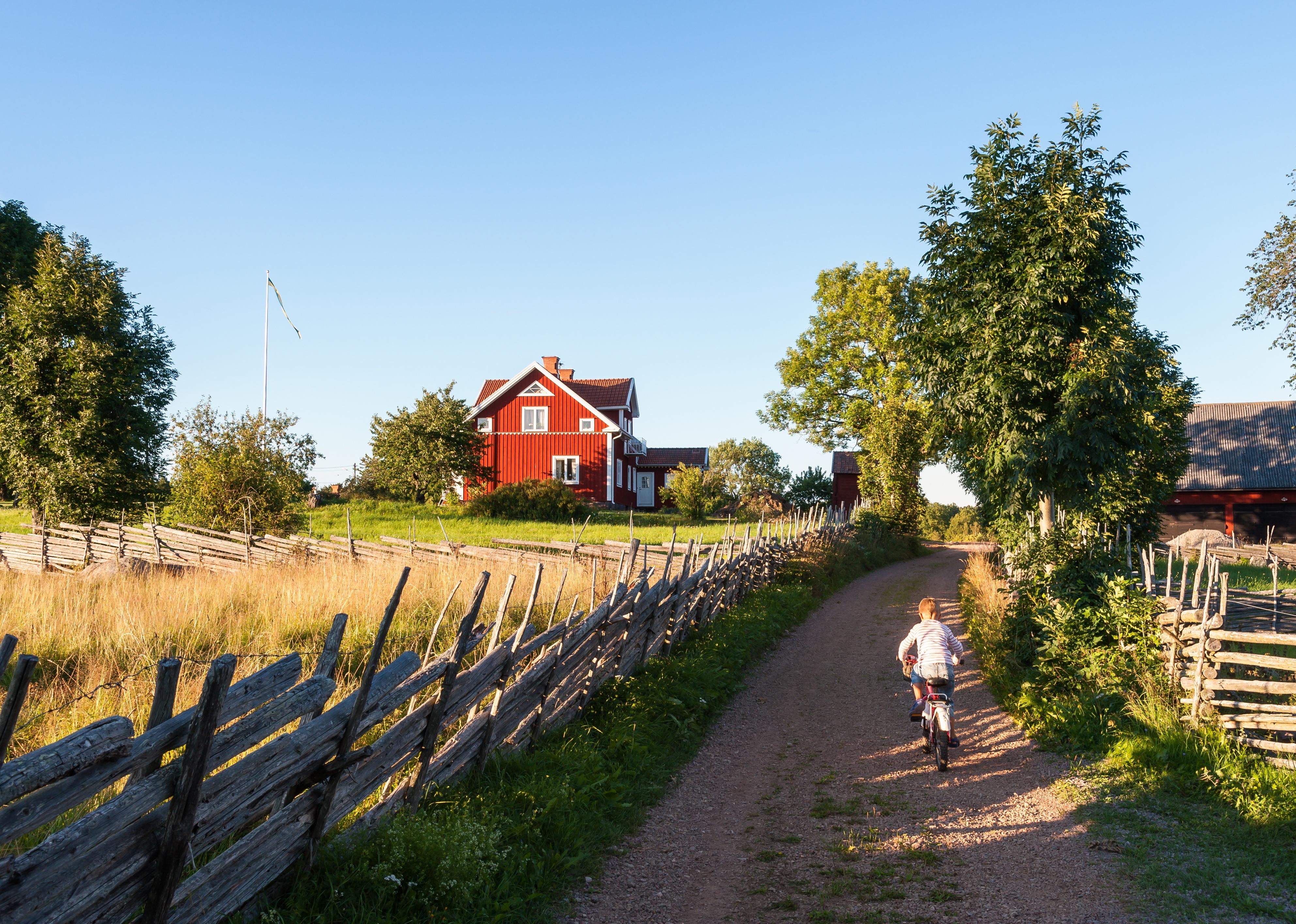 Child riding a bicycle along a small farm lane.