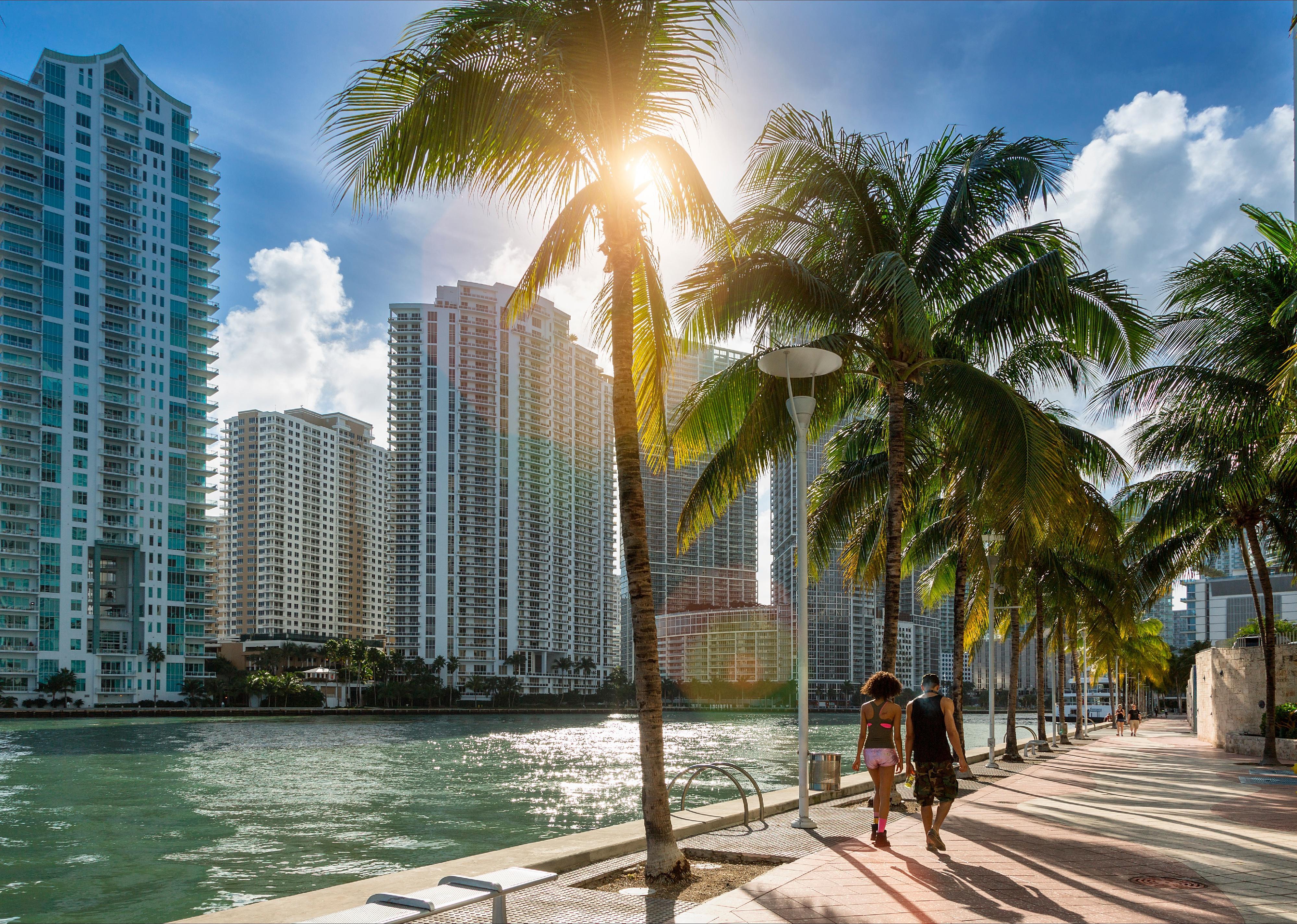Condos and apartments line the Miami waterfront.