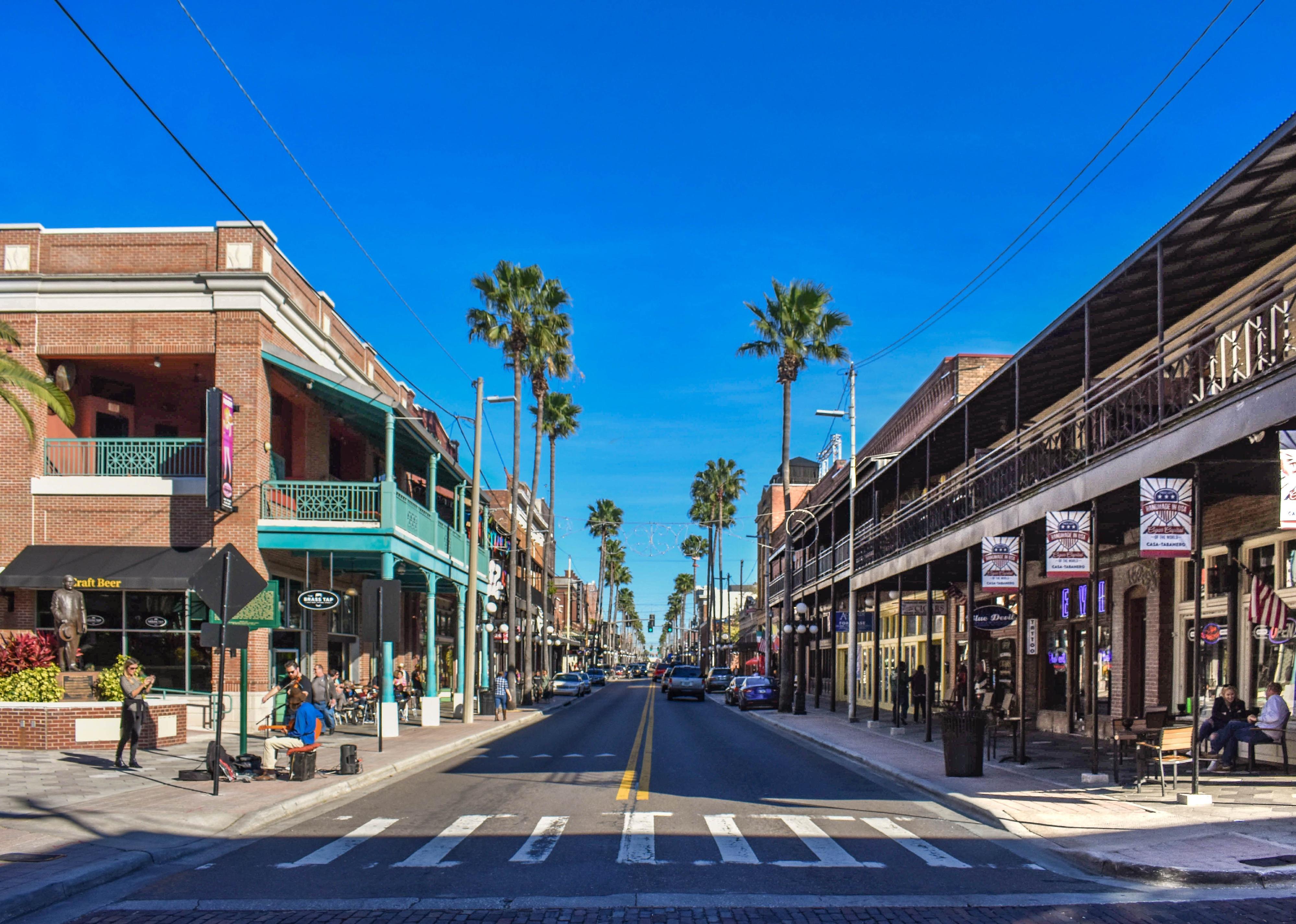 A city street lined with palm trees in Tampa.