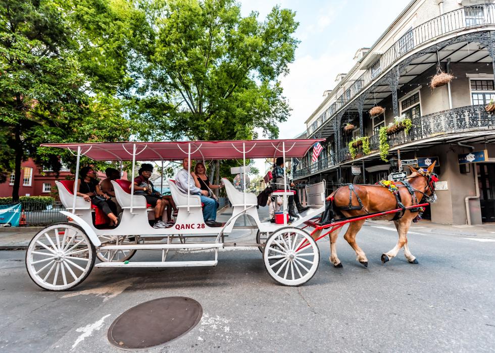 New Orleans horse and carriage buggy tour