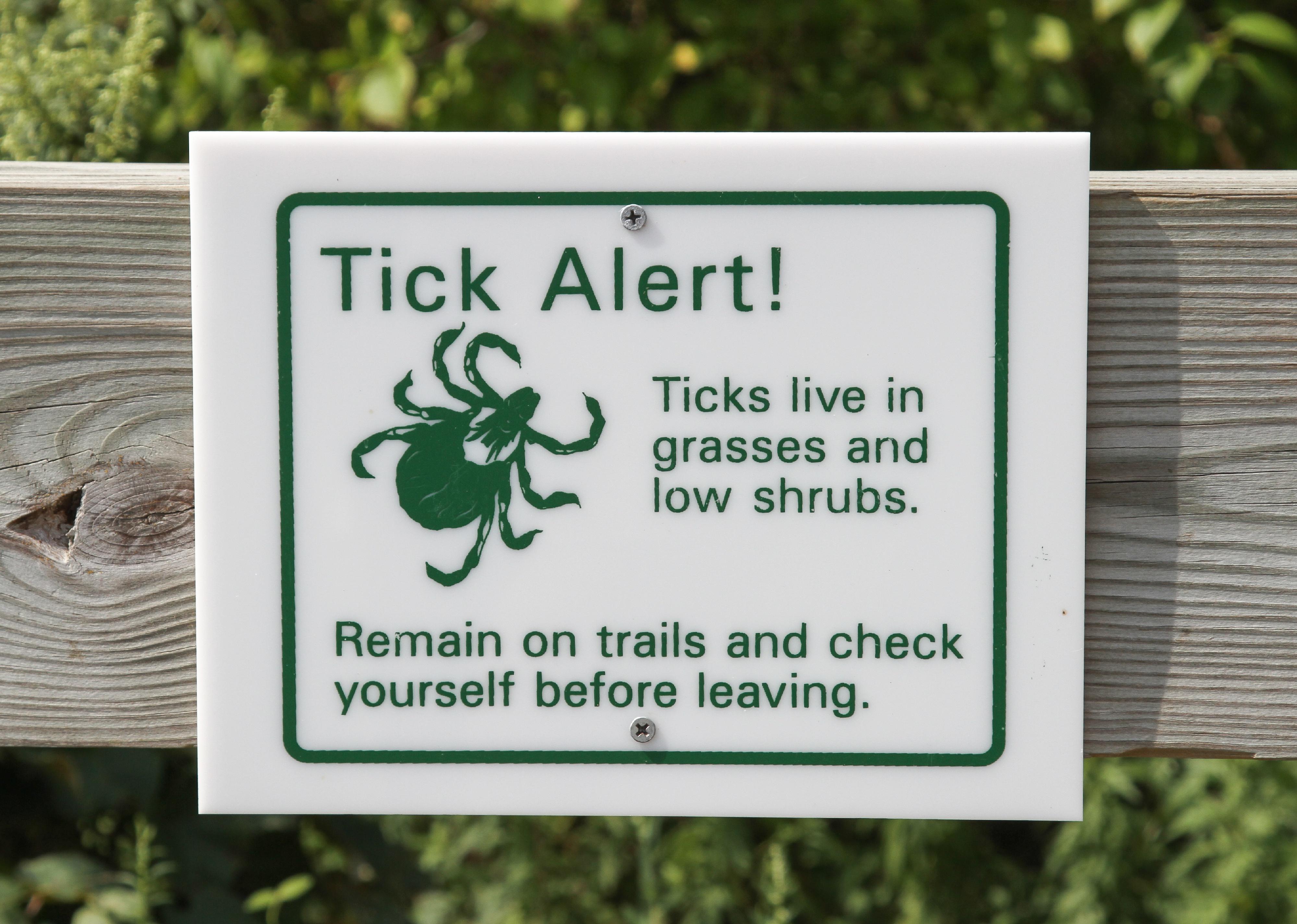 Green and White Tick Warning Sign on a Post.