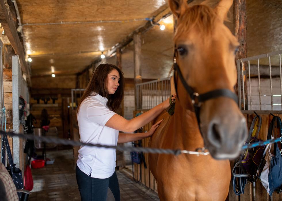 Horse Tacks for sale in Lake Charles, Louisiana