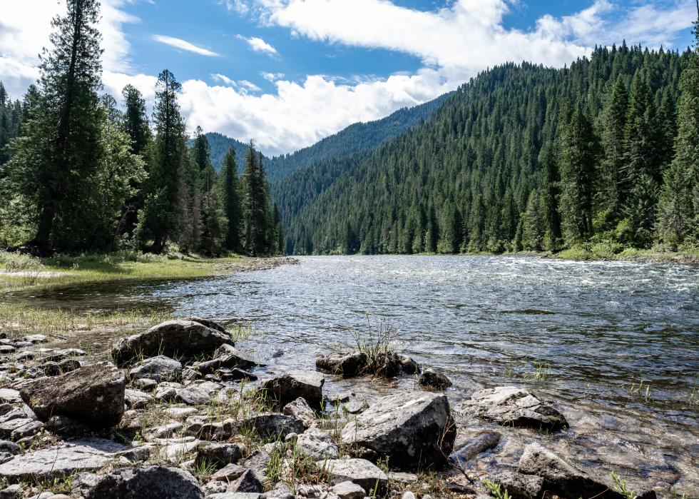 Nez Perce-Clearwater Nation Forest Lochsa River.