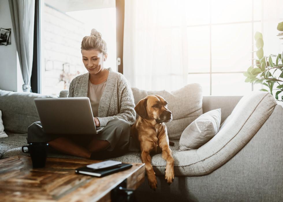 Business woman working on laptop on couch with a dog