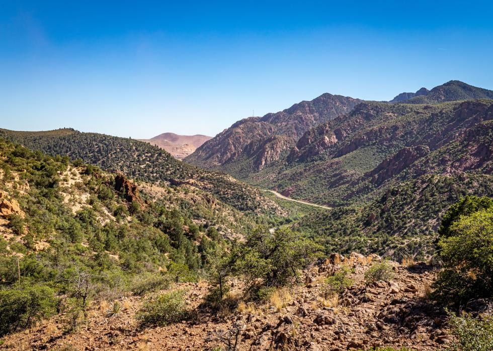 The Coronado Trail Scenic Byway.