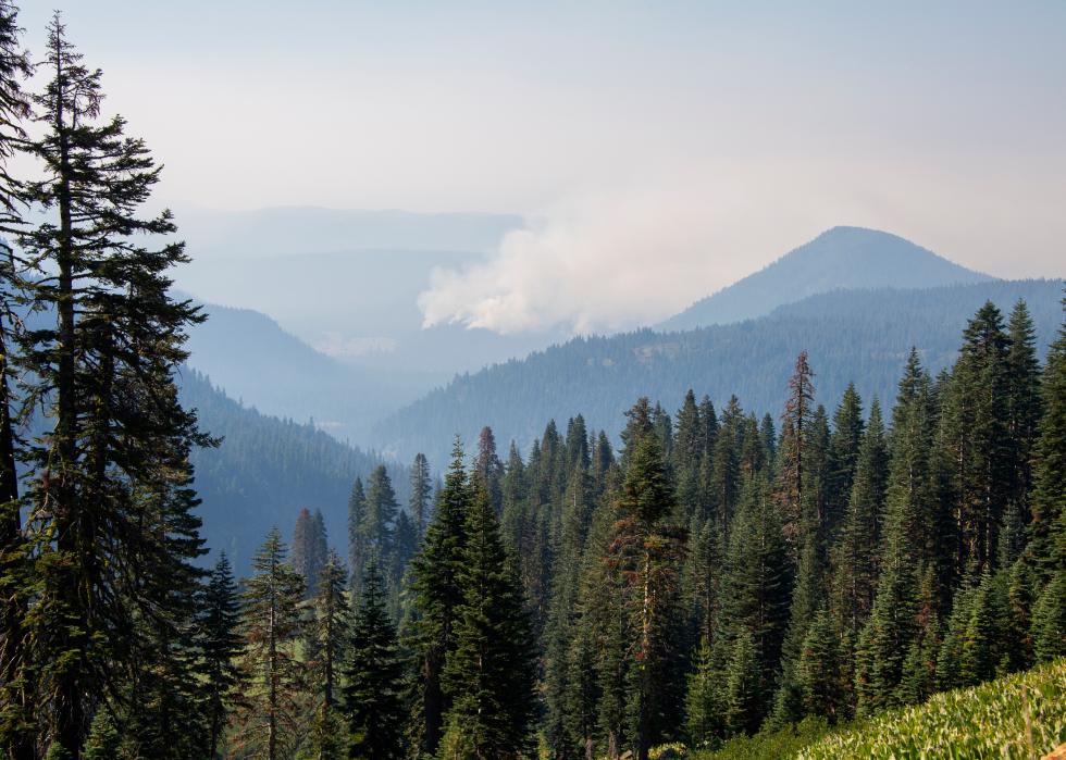 Wildfire in Lassen National Forest