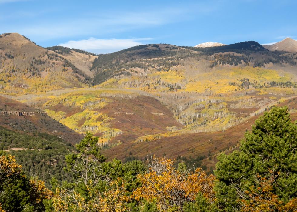 The slopes of the La Sal Mountains.