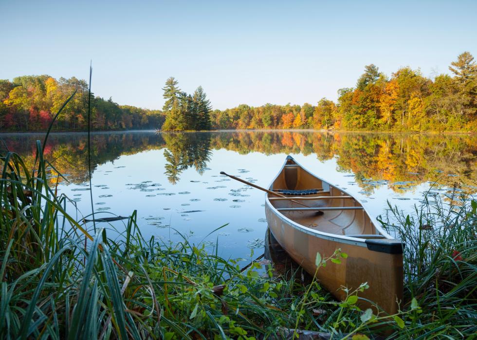 Canoe with paddle on shore of a lake.