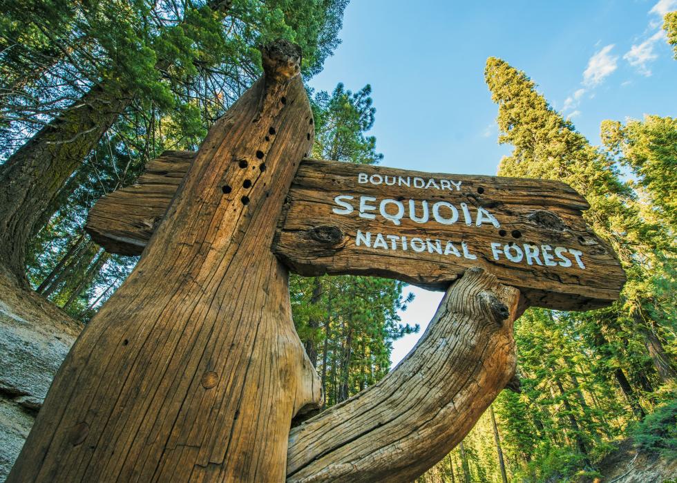 Sequoia National Forest Wooden Sign on the Sequoia National Park Road.