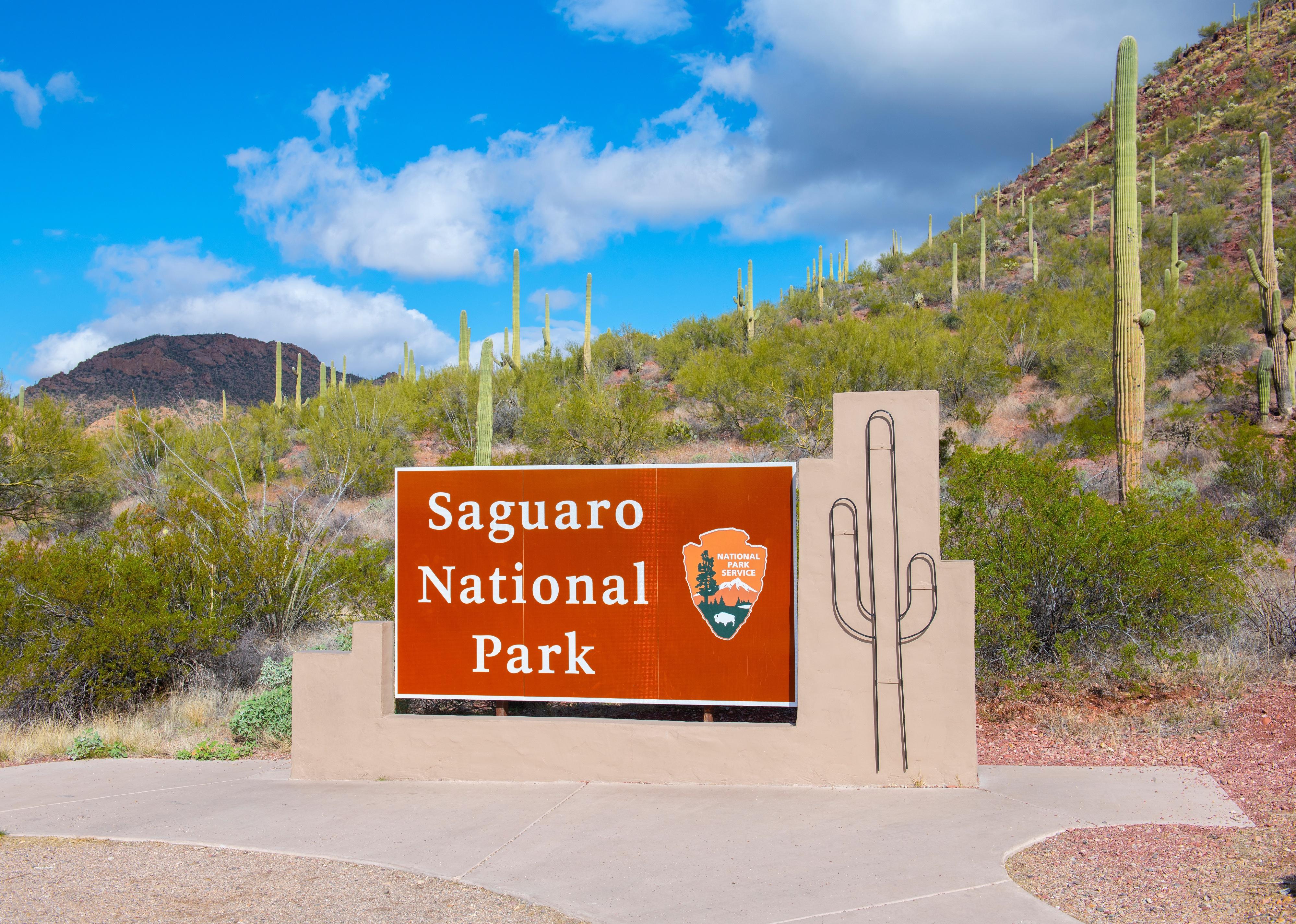 Sign of Saguaro National Park in Tucson Mountain District.