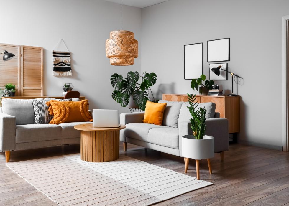 Interior of living room with green houseplants and sofas.