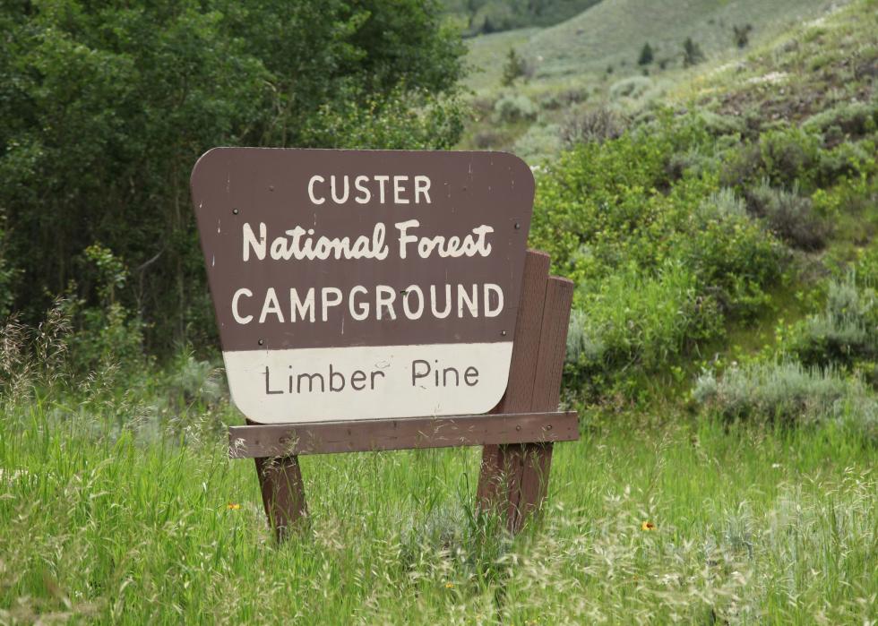 Limber Pine Campground entrance sign.